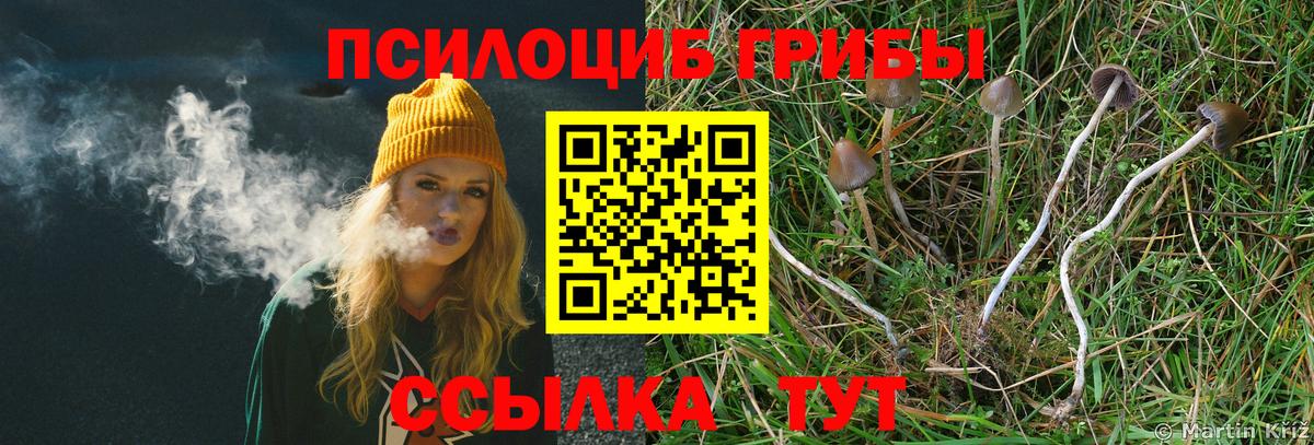 Псилоцибиновые грибы MAGIC MUSHROOMS Нефтеюганск