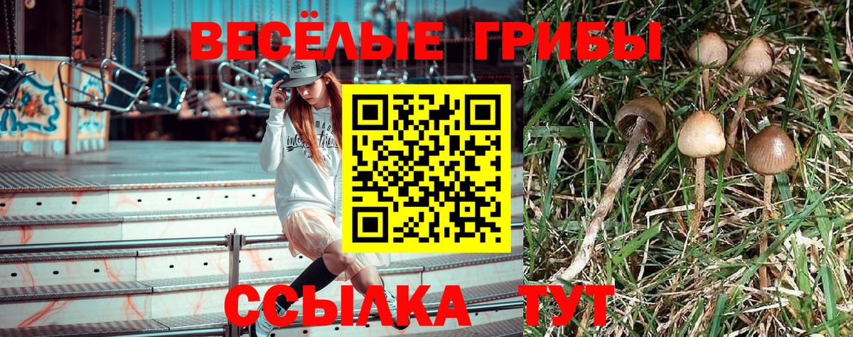 купить наркотик  Вход с VPN  Нефтеюганск  Псилоцибиновые грибы мицелий 
